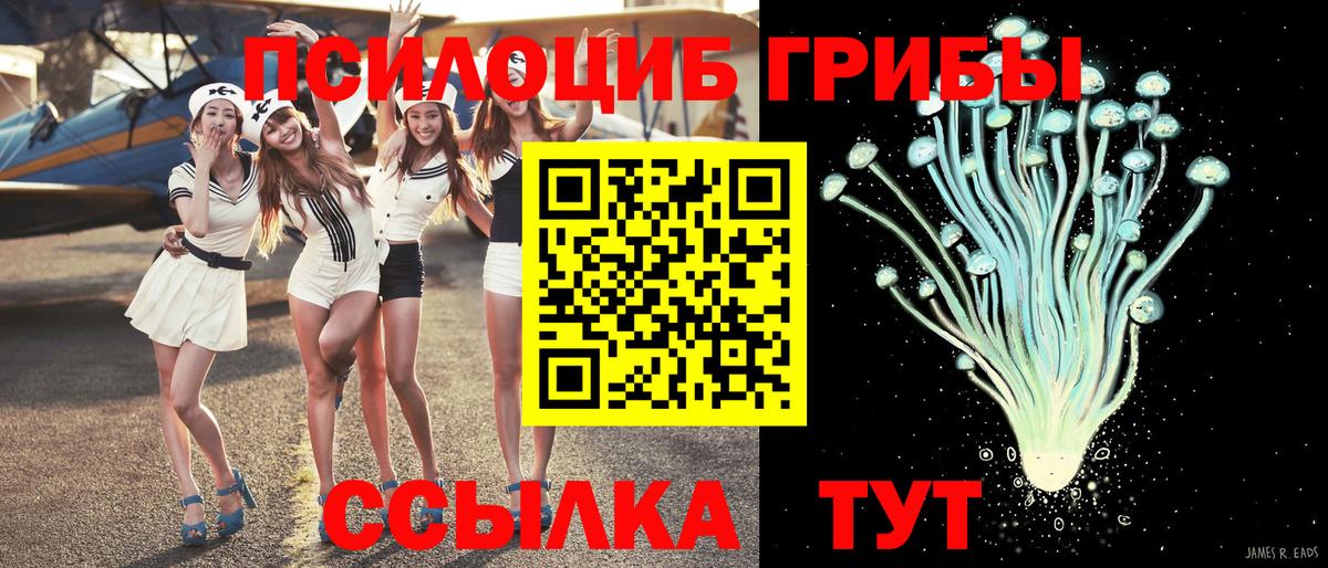 Псилоцибиновые грибы Cubensis  Галлюциногенные грибы Cubensis  Вход с VPN  Гагарин 